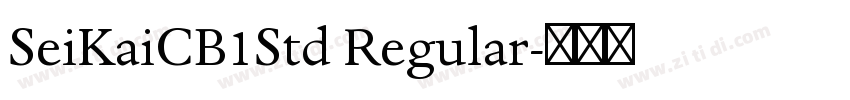 SeiKaiCB1Std Regular字体转换
